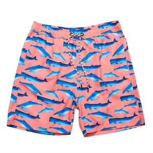 NEW SNAPPER ROCK mens' swim shorts in whale tail